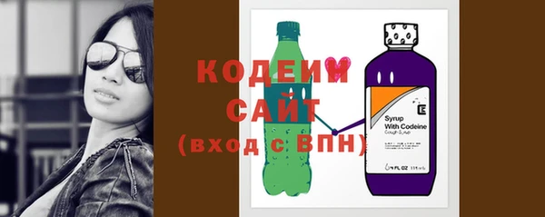 прущие грибы Новый Уренгой