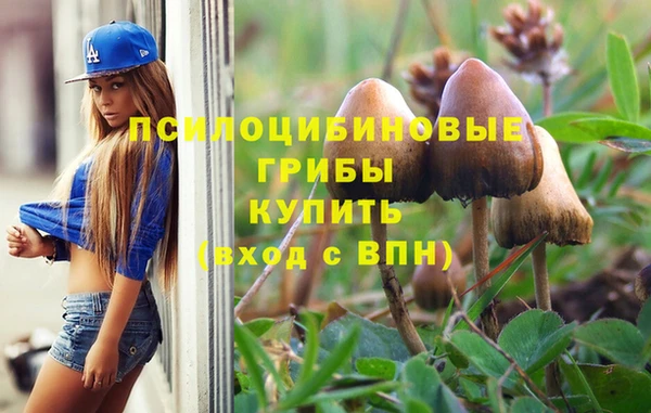 стафф Куйбышев