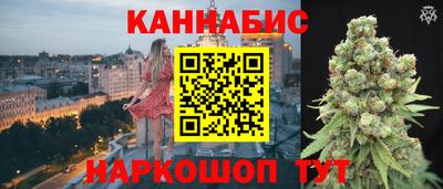 шишки Гай