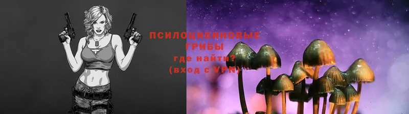 Псилоцибиновые грибы Psilocybe  Семилуки 