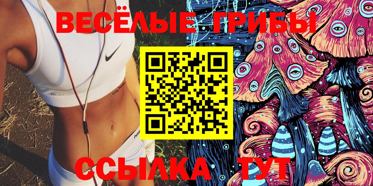 Галлюциногенные грибы Psilocybe Семилуки